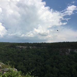 Meet your Posher, Jack